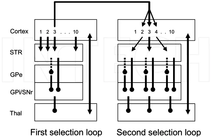 Fig. 6. Results of the simulation on random number generation. Left: distribution of first-order differences