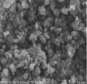 Figure 4. SEM Image of PMMA/Ag               Nanocomposites.  