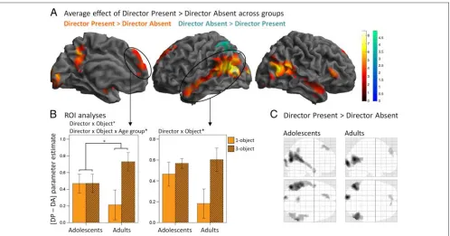 Figure 4. Effect of the Director factor and interaction with Object and Age Group. (A) Main effect of the Director factor across age groups