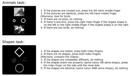 Fig. 1 Example stimuli (left) and the five task rules (right) for the animals and shapes tasks