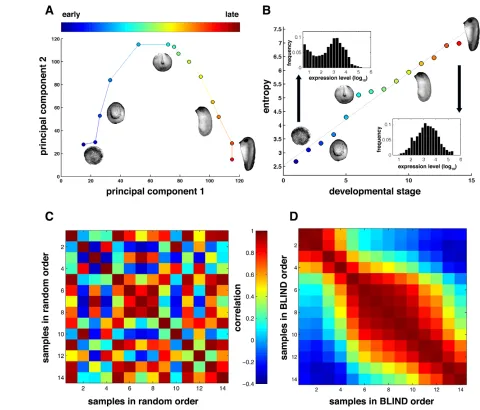 Fig. 1. The BLIND method for ordering transcriptomic timecourses. (A) Principal components analysis (PCA) on a developmental timecourse for X