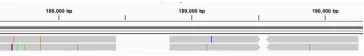 Figure 2: (a) The Polygraph identiﬁes an inverted translocation from chromosome VIII high-lighted in red and an inversion in magenta that (b) progressiveMauve does not identify