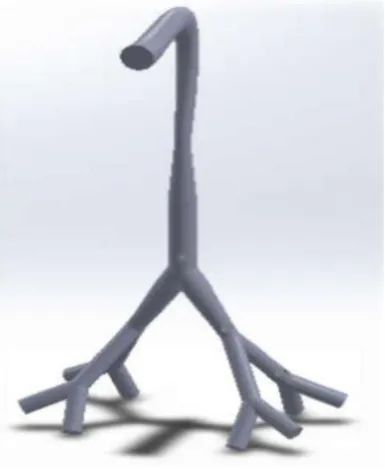 Figure 2. URT model with left and right bronchi 
