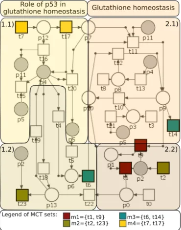 Figure 2: The proposed Petri net based model.