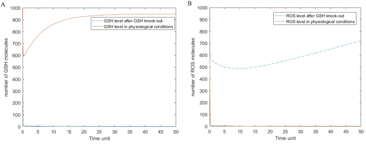 Figure 3: Results of the simulation of ODE model. The solid line represents level of ROS andGSH after GSH knockout, and the dotted line shows level of ROS and GSH in physiologicalconditions
