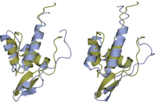 Figure 2: The lowest-lRMSD decoy over all HEA-generated individuals is shown in blue on theleft
