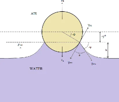 Figure 1. Positioning of the particle when interface is concave or when downward force is greater 