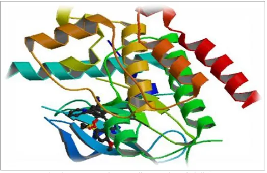 FIG. 4: TEMPLATE USED FOR GQSAR 