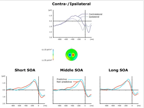 FIGURE 4 | Grand-averaged event-related brain responses time-locked tothe motor response of the ﬁrst task at electrodes C3/C4