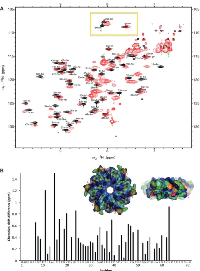 Figure 3. Comparative NMR analysis of Hfqsurface representation of the proximal face and side ofcalculated for assigned peaks plotted against residue positions