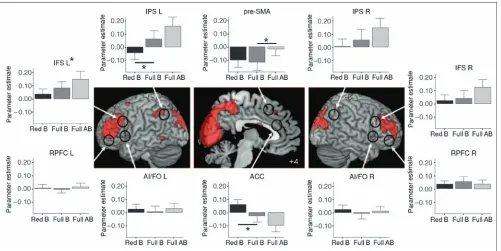 Figure 8. fMRI results from the analysis of sustained BOLD effects during task blocks