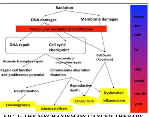 FIG. 1: THE MECHANISM ON CANCER THERAPY 