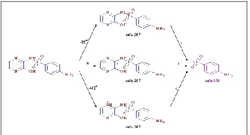 FIG. 3: PLAUSIBLE SCHEME FOR FRAGMENTATIONS OF SM-II 