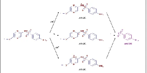 FIG. 5: CHROMATOGRAM OF SYSTEM SUITABILITY   SOLUTION 