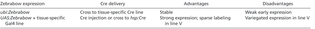 Table 2. Schemes for broad labeling
