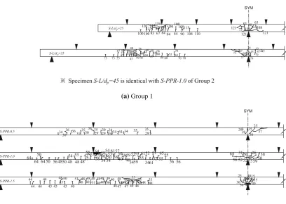 Fig. 4 Section details and arrangement of reinforcing bars in specimens.