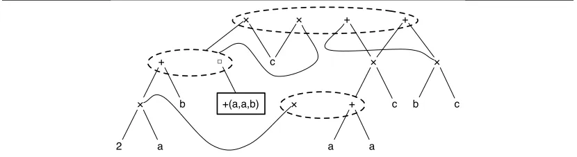 Figure 1: APEG for the expression e�� =(a + a) + b× c.