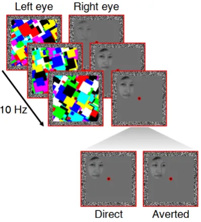 Figure 1. Schematic of an example trial in Experiments 1 and 2. During each trial, participants were presented with Mondrian-like masks to one eye, while a face with direct or averted gaze was gradually faded in to the other eye