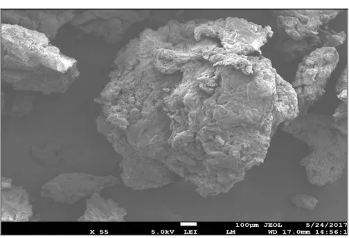 FIG. 10: SCANNING ELECTRON PHOTOMICROGRAPH  OF RM 1 MICROSPHERE 