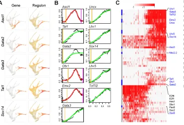 Fig. 9. Gene regulatory networks