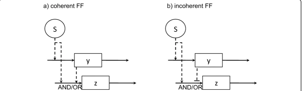 Figure 2 Feed forward motif subtypes: coherent and incoherentS. In a feed forward (FF) motif, the interaction between the master andintermediate regulators (named S and y, respectively) modulates the response of the target component, z