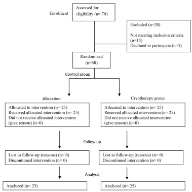 Figure 1. Consort flow chart.