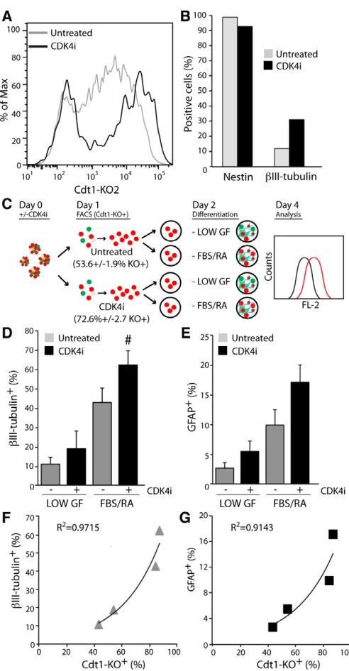 Fig. S12A,B) and Oct4 (not shown). FUCCI-ESC colonies