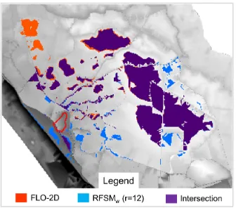 Figure 4:  Flood maps: comparison between RFSMw (r = 12) and FLO-2D models.