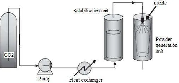Fig. 1. The key parameters of the extraction step are obviously the operation T and P.