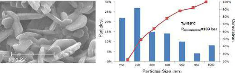 Fig. 5. SEM image and PSA results for the sample processed in P=103 bar and T=86 0C.