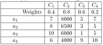 Table (2) initial decision making matrix