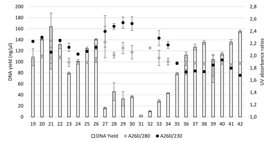Figure 3.  Trial 3 as described in Table 2 compared yields and purity (A260/280 nm; A260/230 nm) of DNA extracted from equal amounts of shrimp abdominal muscle tissue using either all MGD Kit reagents in combination with 3 µl, 6 µl, 12 µl or 24 µl volumes 