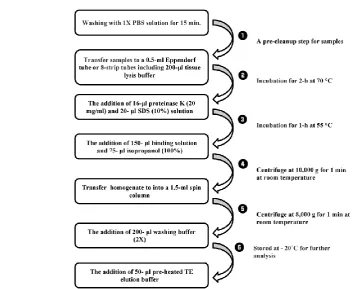Figure 1. The schematic chart presents detailed step-by-step protocols for DNA isolation technique