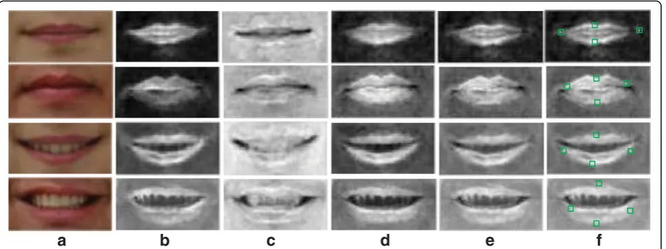 Fig. 4 (a) RGB images after illumination equalization. (b) U component of the CIE-LUV color space