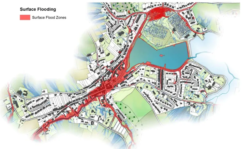Figure 1 Standard visualisation of Millbrook flood extent 