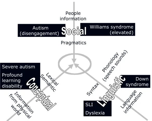 Figure 1. People information