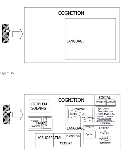 Figure 3a COGNITION
