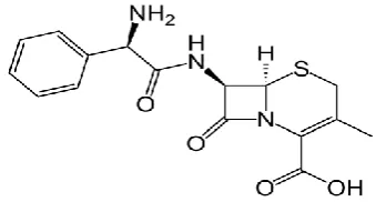 Fig. 1: Structure of Cephalexin 
