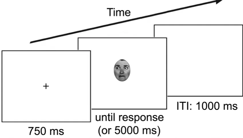 Figure 2. An example of the stimulus sequence in Experiment 1. This figure depicts the “fear” and “averted” condition