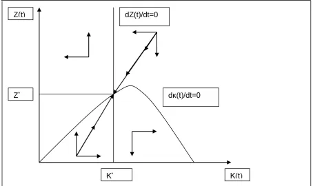 Figure 1.  Phase diagram for Z(t) and κ(t). 