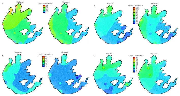 Figure 3: Plots of spatial cyanobacteria dynamics in Lake Taihu in CA model (a) May 8, 2008; (b) Aug 7, 2011; (c) Oct 6, 2010; (d) Feb 9, 2012