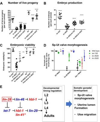 Fig. 5. Genetic epistasis analysis of lin-28were rarely suppressed byeffect that was partially or fully suppressed bylet-7(mn112)lin-28(n719)L4440),visualized bywith wild type in each RNAi set