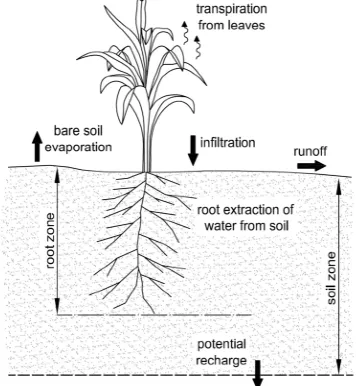Figure 2:  Processes involved in the soil moisture balance 