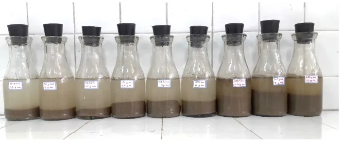 Figure 1: An example of the experiment samples 