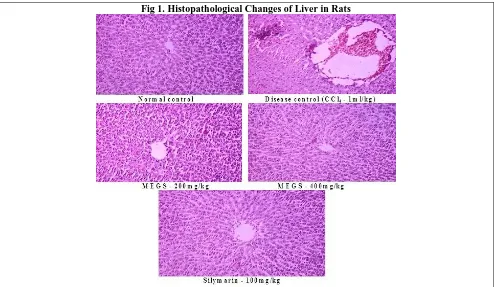 Fig 1. Histopathological Changes of Liver in Rats 
