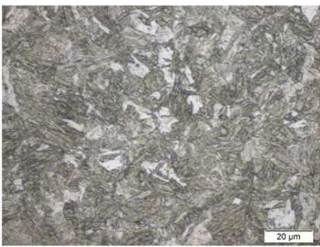 Figure 2.1 : Microstructure for Martensitic Steel MS 950/1200. 