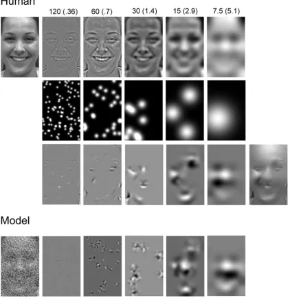 Figure 1. Illustration of Bubbles Sampling [decomposed into six spatial frequency bands of one octave each, starting at 120–60 cycles per face