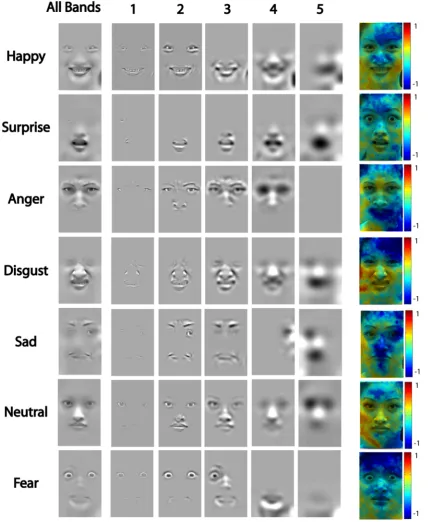 Figure 2. Meta-Analysis of the Behavioral Data. For each spatial frequency band (1 to 5), a classification image reveals the significant (pcolored figures represent the ratio of the human performance over the model performance