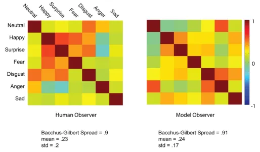 Figure 3. Meta-Analysis of the Behavioral Data: Cross-Correlations of the Classification Images