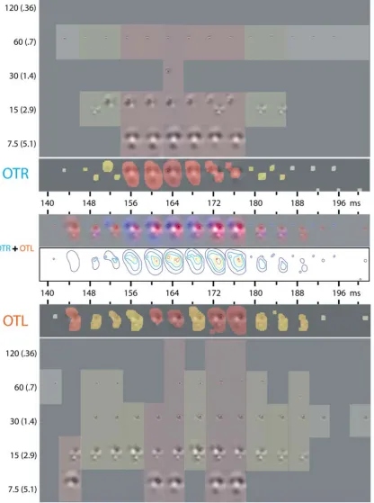 Figure 4. Analysis of the EEG Data: From EEG Classification Image to Combinations of Spatial Frequency Bands
